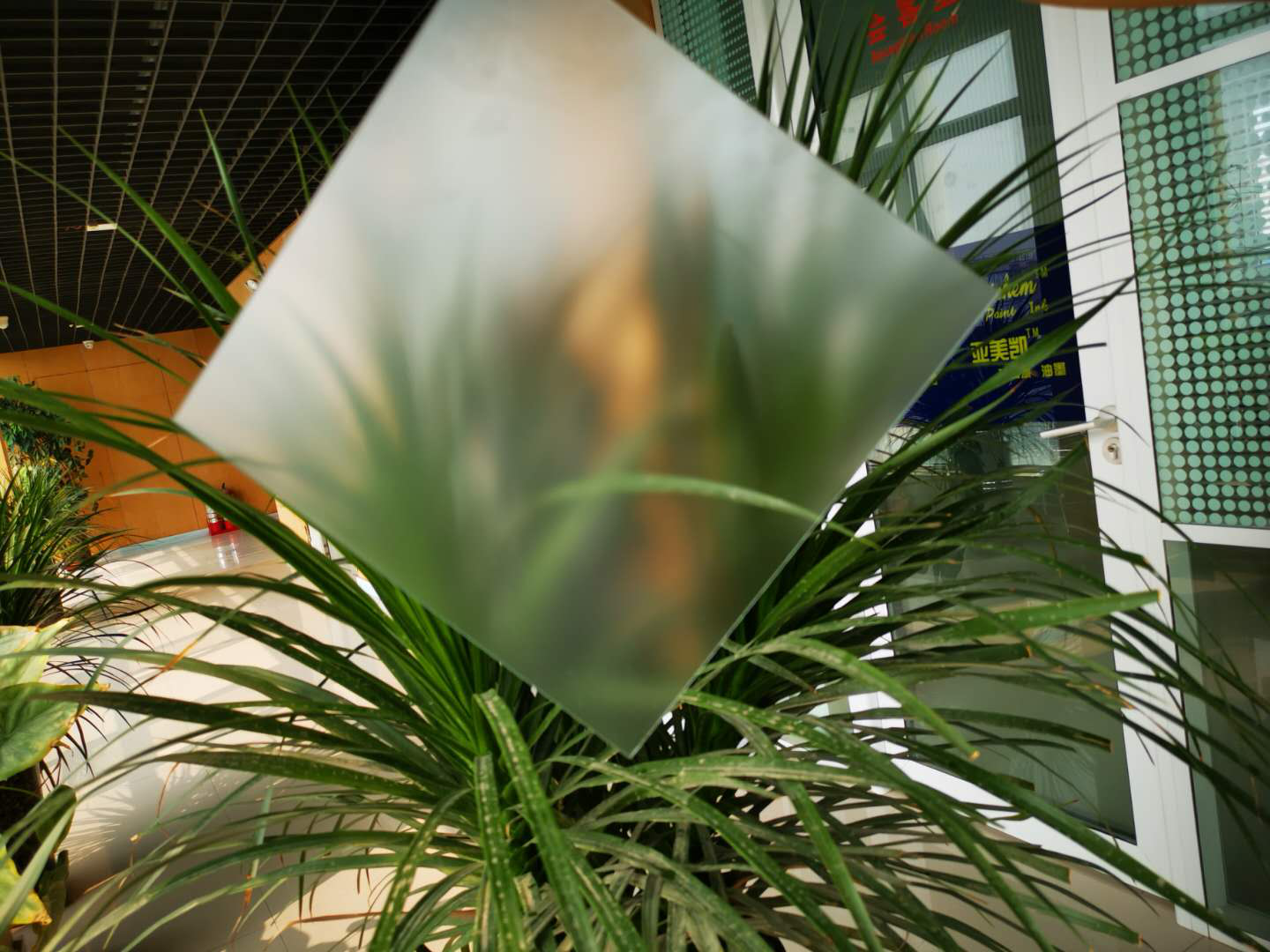 1683794619206733.png 1602825316438830.png